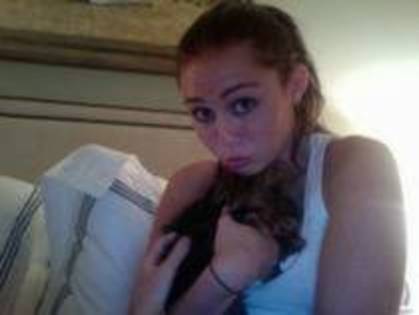 REIZFZSRNQJHZPETOSS - miley-poze rare