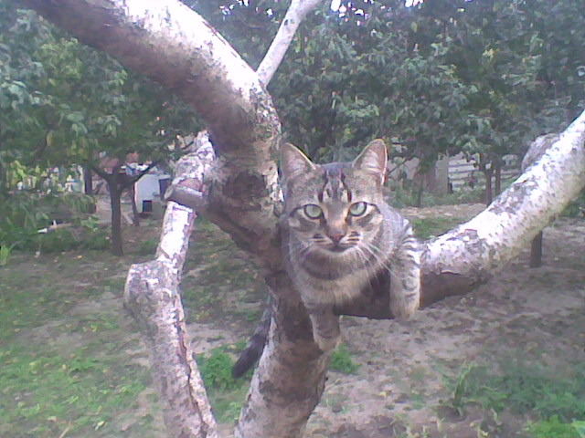 Imag072