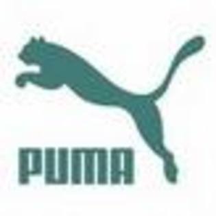 CAO5M5F0 - pentru firma puma