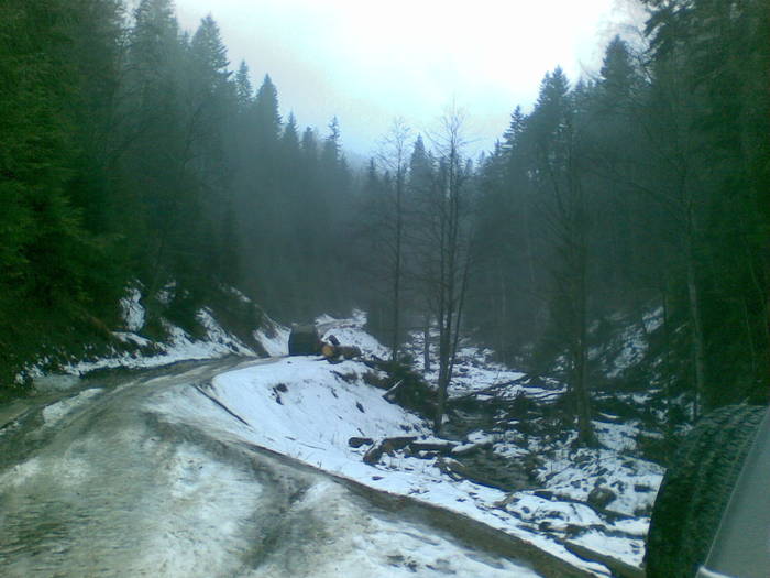 22012009(002) - vanatoare padure