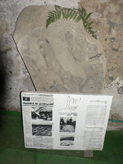 P1040397 - 2009 aprilie manastirile  cetatuia-namaesti-corbi