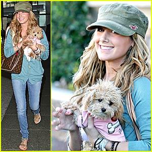 ashley-tisdale-maui