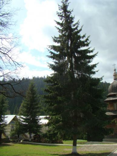 DSC03661 - 18 aprilie - statiunea si Manastirea Durau si lacul Bicaz