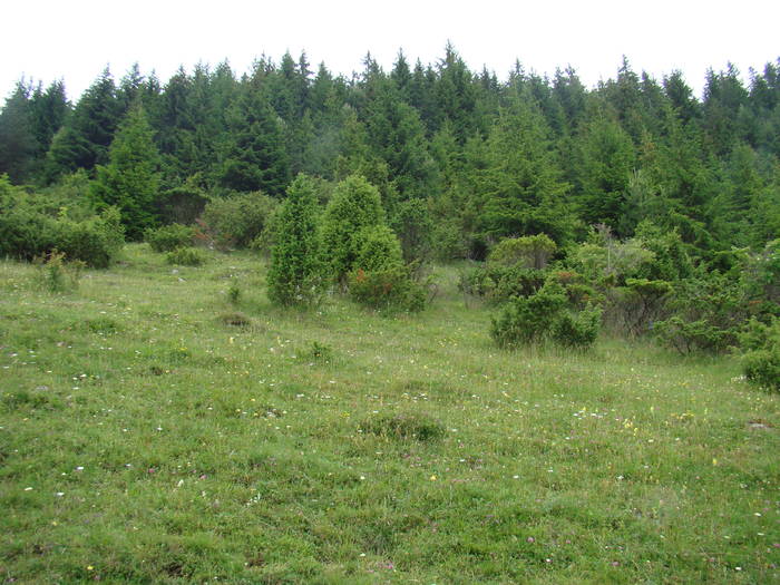 DSC03897 - Concediu 2009