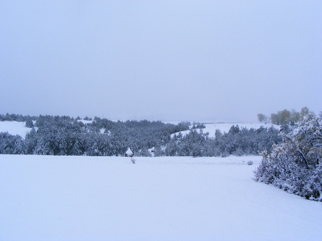 DSCF7311 - ninge in Maramu