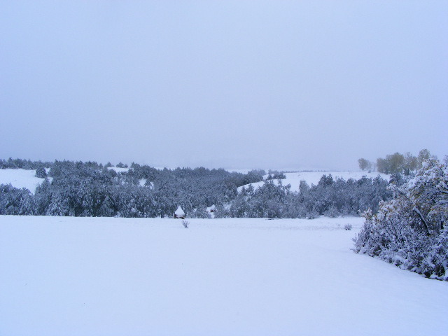 DSCF7311