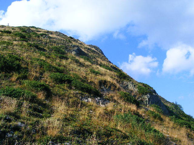 DSCF4485