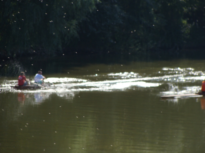 Concursul Cupa Mures 2009