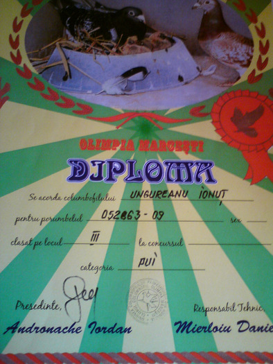 DSC00029 - cupe si diplome