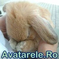 www_avatarele_ro__1203165966_51055 - avatare triste