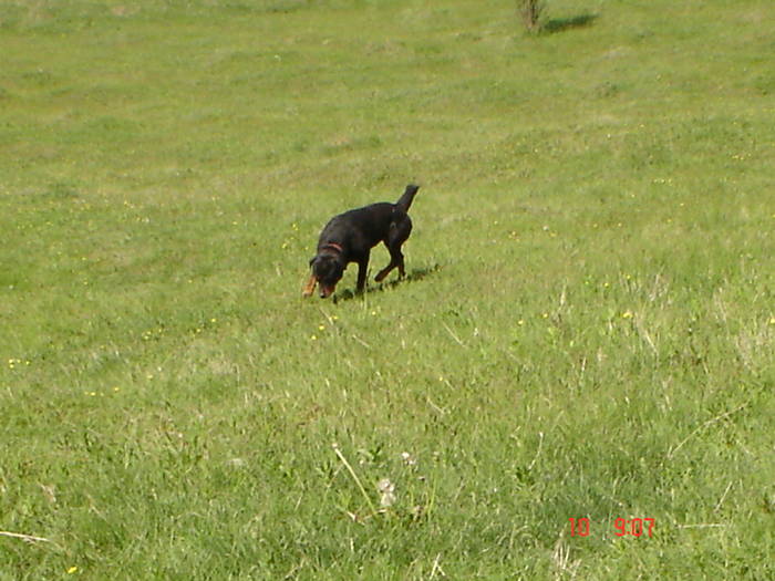 DSC04827 - BELLA poze noi