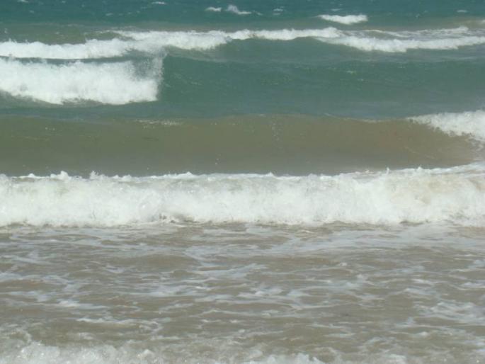 DSC05436