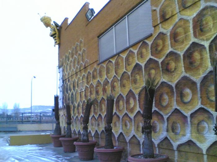 15012009(009) - apicultura