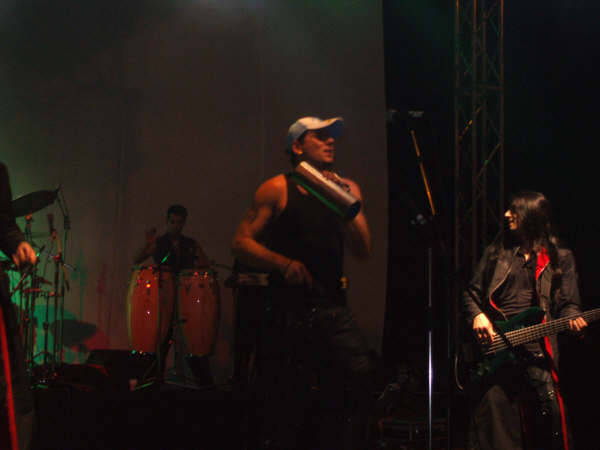 concert (15)