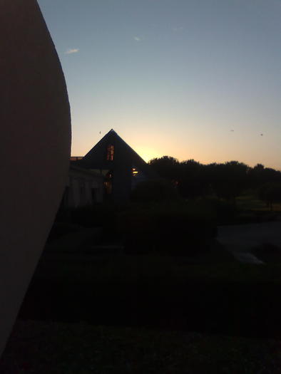 Imagine1331 - ApiMondia