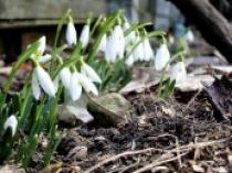 HZVN6SM3R5ZA472RCBM9J6FLF