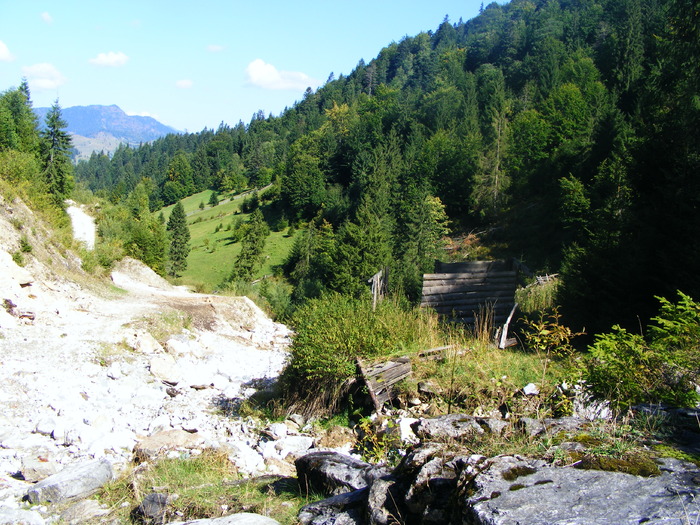 DSCF6305 - muntii Rodnei