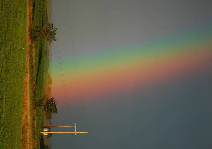 rainbow_conception_missouri_1_crop - curcubeul