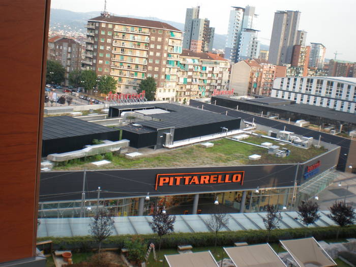 P7010081_01 - conferinta internationala de arhitectura Torino 2008
