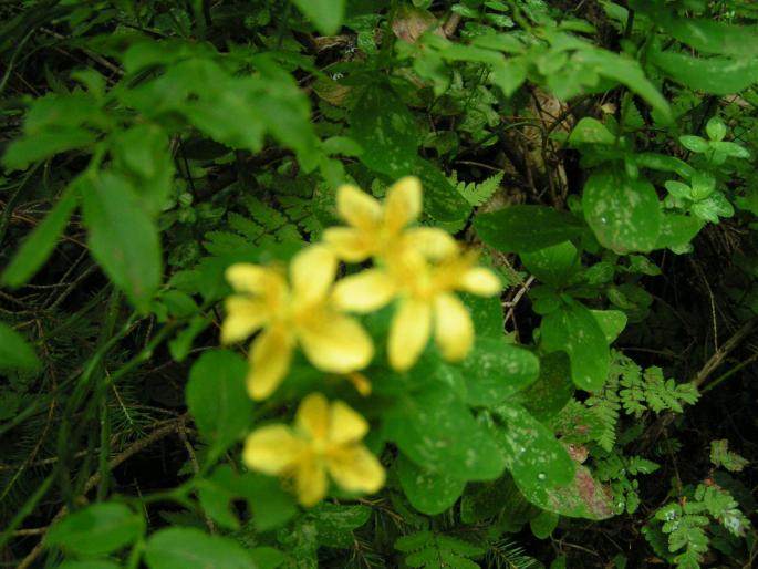 PICT868 - 2007 concediu poze 1