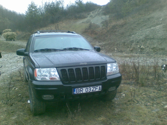 09122009(010) - vanatoare padure