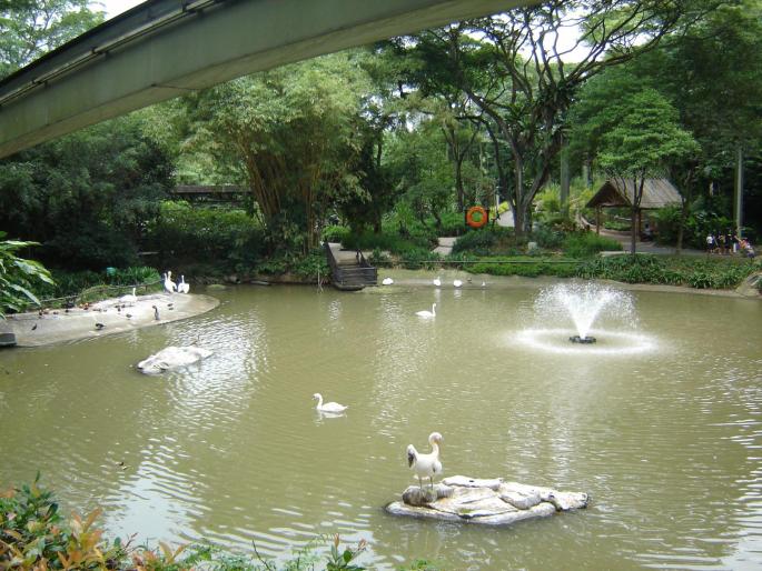 044 - vacanta singapore 2008