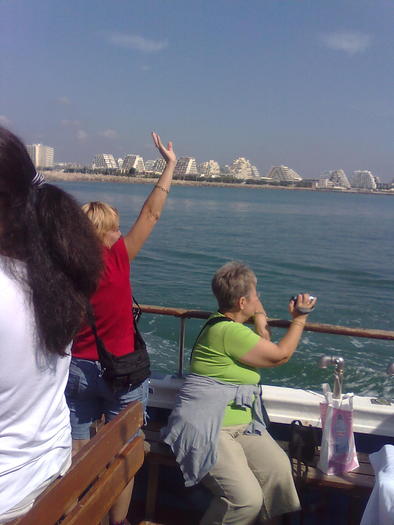 Imagine1272 - ApiMondia