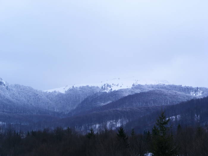 DSCF7635 - Cavnic -Budesti-Breb-Desesti -Mara