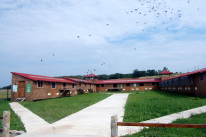 balkanic1 - MODELE DE CRESCATORII