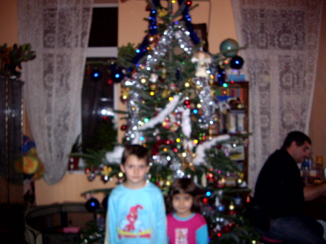 craciun 2009