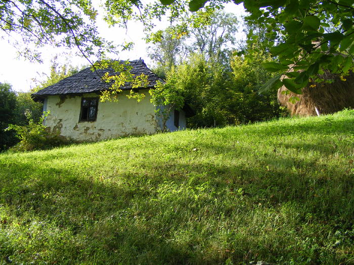 DSCF0455