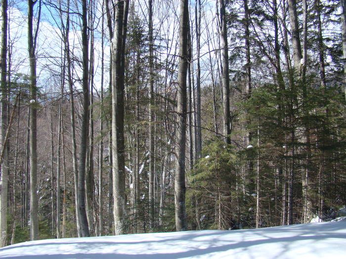 DSC02873