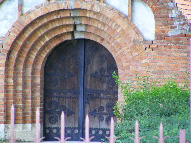 DSCF3987 - Tasnad iulie 2009