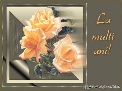 trandafiri-galbeni - trandafiri