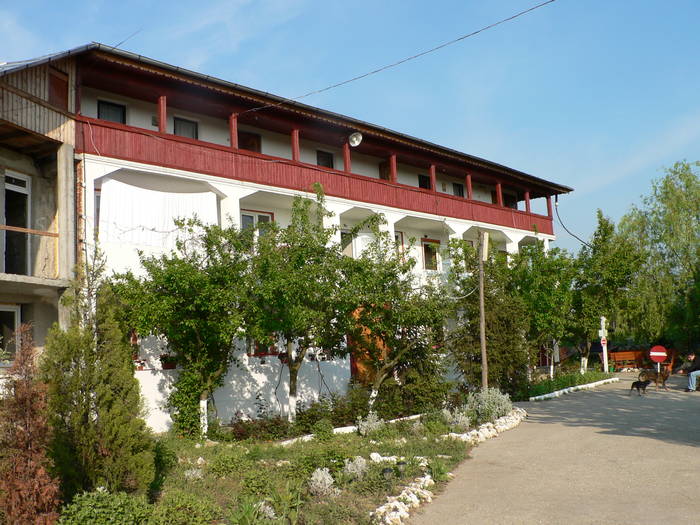 P1040906