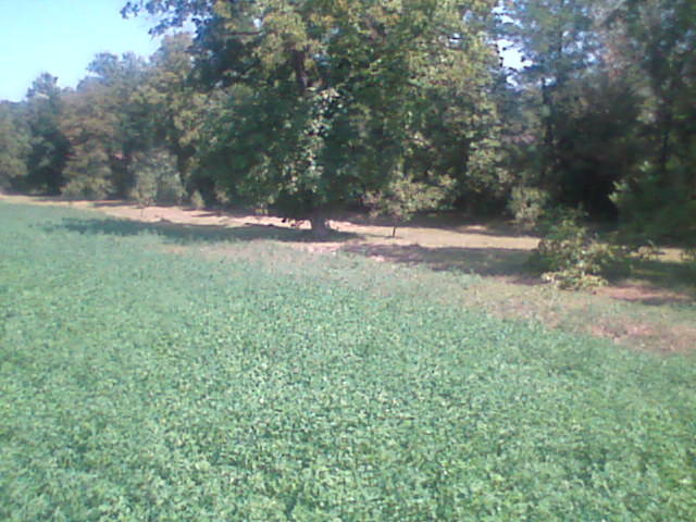 draganeasa09 008 - vacanta draganeasa 2009