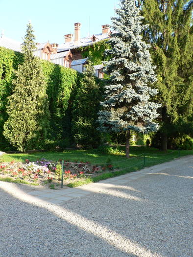 P1050509