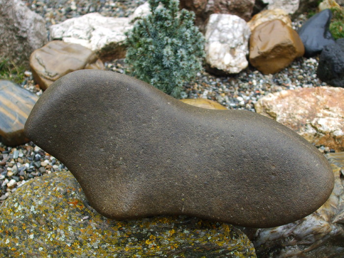 Picture 270 - Amazing rock