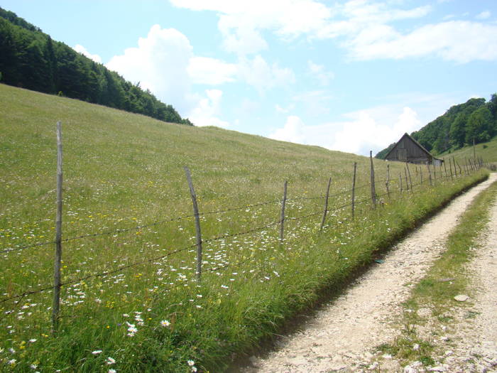 DSC03891 - Concediu 2009