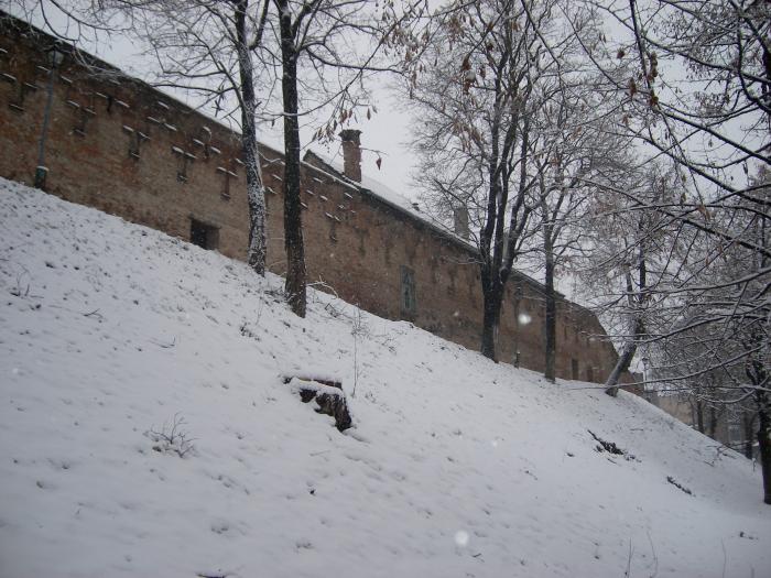 Iarna la Medias-Zidul cetatii