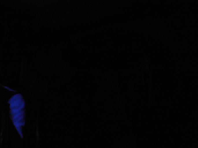 P1020370 - 2008 POZE COTTON CLUB