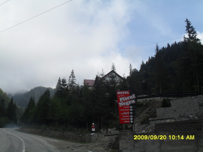 SDC10462 - transfagarasan