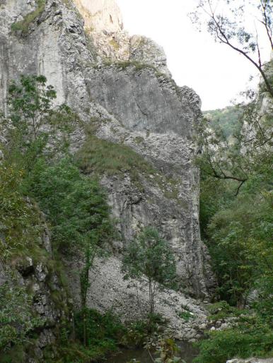 P100086