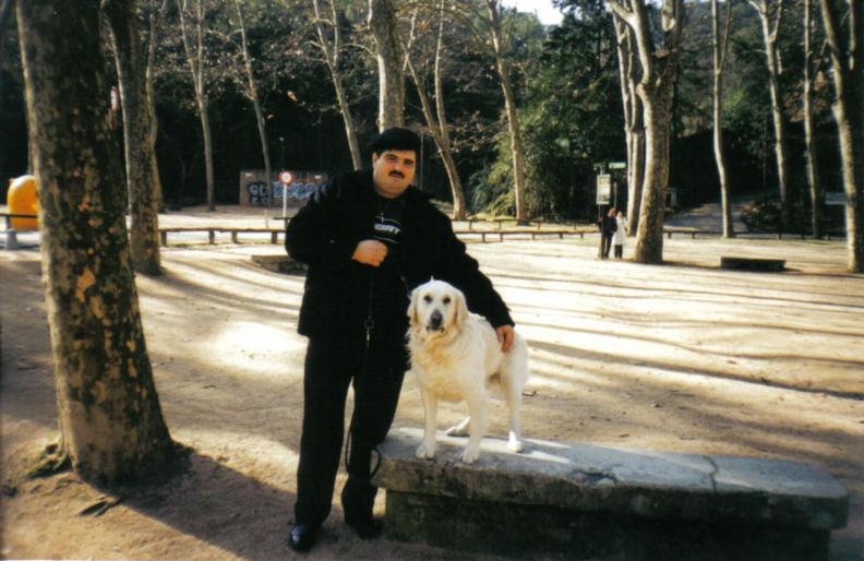 golden retiver; la dresaj in parc Girona.
