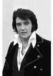 28 - ELVIS PRESLEY