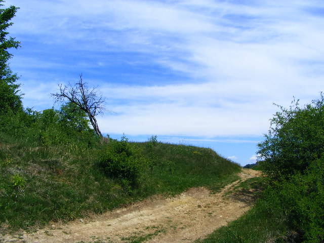 DSCF0504 - Cetatea Chioarului 13 mai 2009