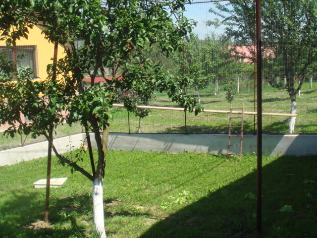 DSC00857