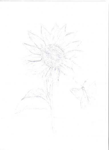 floarea soarelui - ScHiTzE