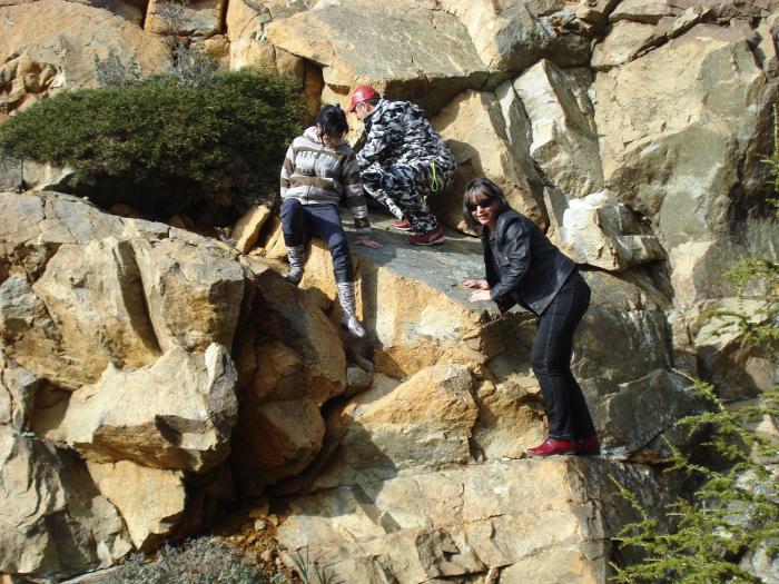 Picture 696; Muntii Troodos
