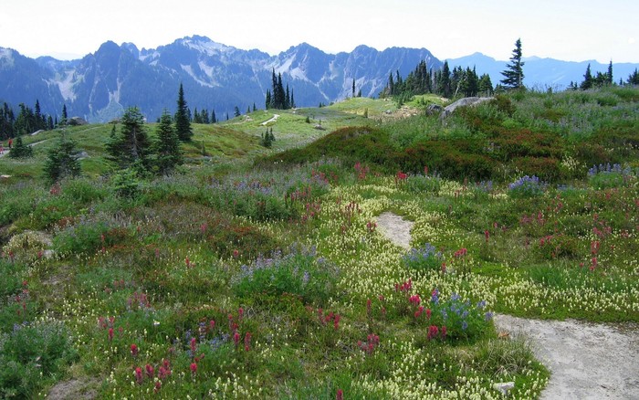 Planet Scenes 062 - 240 Best Nature HD Wallpapers